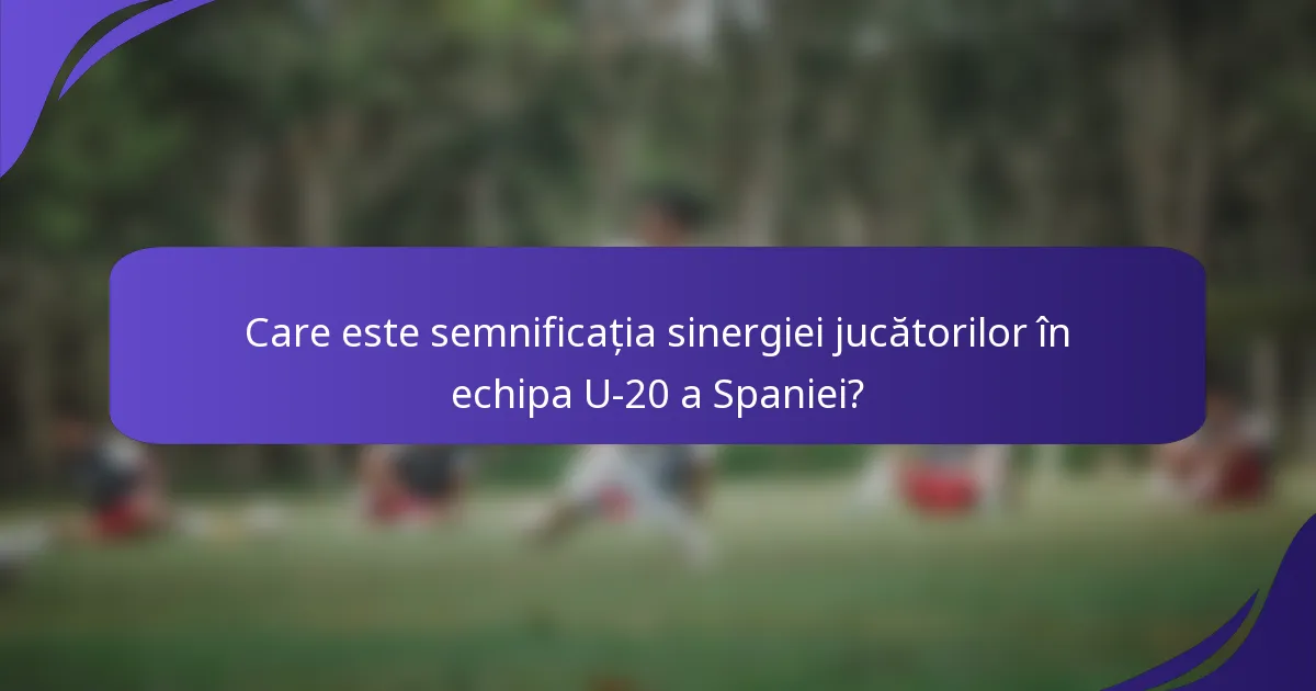Care este semnificația sinergiei jucătorilor în echipa U-20 a Spaniei?