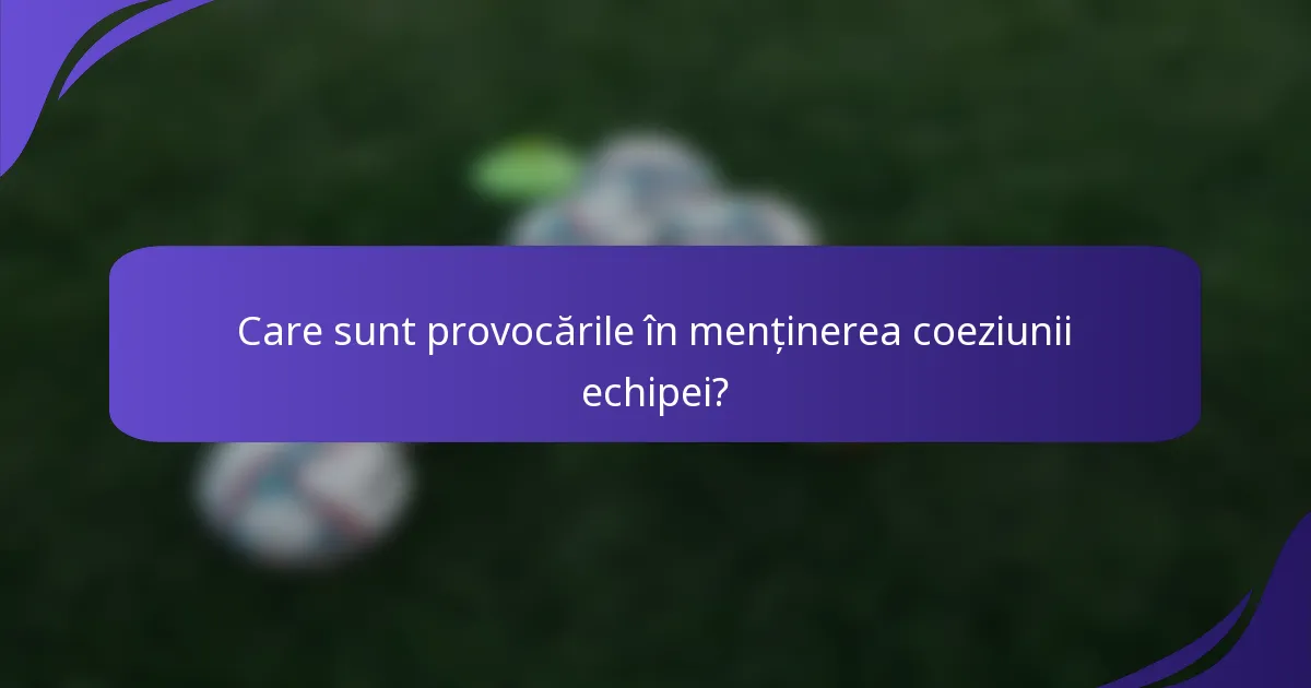 Care sunt provocările în menținerea coeziunii echipei?