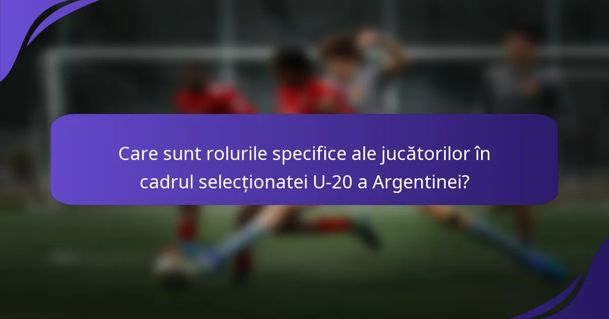 Care sunt rolurile specifice ale jucătorilor în cadrul selecționatei U-20 a Argentinei?